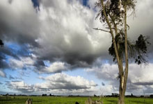 外媒评选的阿根廷国家队传奇阵容：.