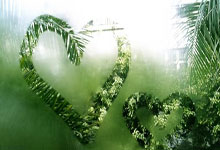 前国脚：恒大把足球搞臭了？我反对，金元足球挺好的 你们太肤浅.