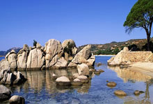 必赢官网：[CBA]季后赛5月11日：辽宁VS广东.